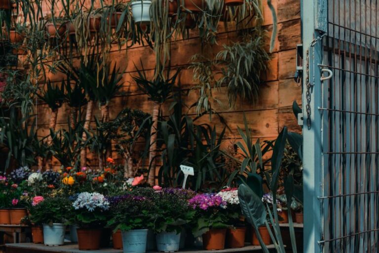 冬の観葉植物マルシェとは？イベントで楽しむ室内グリーン選びのコツ