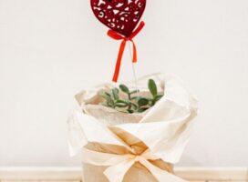 失恋した友達へのプレゼントに植物を贈る選び方とメッセージのコツ