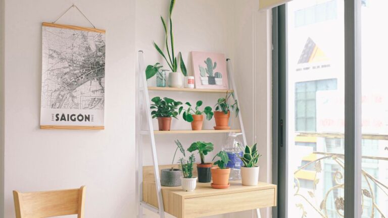 ひとり暮らしの部屋に置かれた観葉植物のインテリア