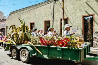 アガベシロップの歴史と文化｜メキシコに伝わる伝統的な製法とは