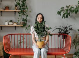 方角別の運気アップ植物ガイド｜東西南北で選ぶ観葉植物の置き方