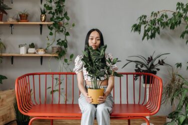 方角別の運気アップ植物ガイド｜東西南北で選ぶ観葉植物の置き方