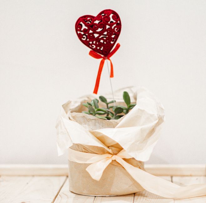 A succulent plant wrapped elegantly with a heart decoration, perfect for gifting.