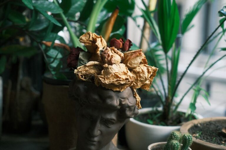 Artistic arrangement of dried roses on a bust sculpture surrounded by indoor plants, creating a vintage aesthetic.