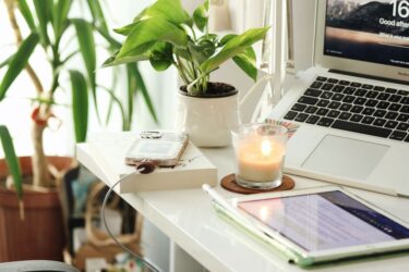 乾燥に強い植物を選ぶ人の性格診断｜忙しい人ほど塊根植物が向く理由