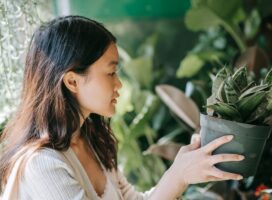 初心者が最初に選ぶ植物でわかる性格診断｜最初の一鉢の心理