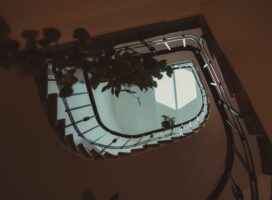 インテリア重視で植物を選ぶ人の性格診断｜見た目で選ぶタイプの傾向