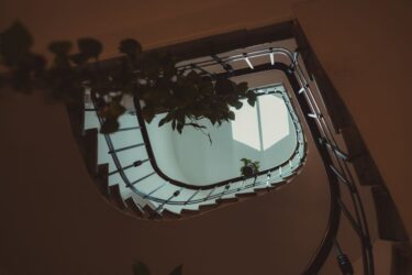 インテリア重視で植物を選ぶ人の性格診断｜見た目で選ぶタイプの傾向
