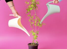 Two people using stylish watering cans to nurture a potted plant against a vibrant pink background.