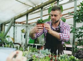 2022年春トレンド植物とは｜塊根植物ブームが本格化した理由を解説