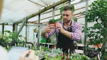 2022年春トレンド植物とは｜塊根植物ブームが本格化した理由を解説