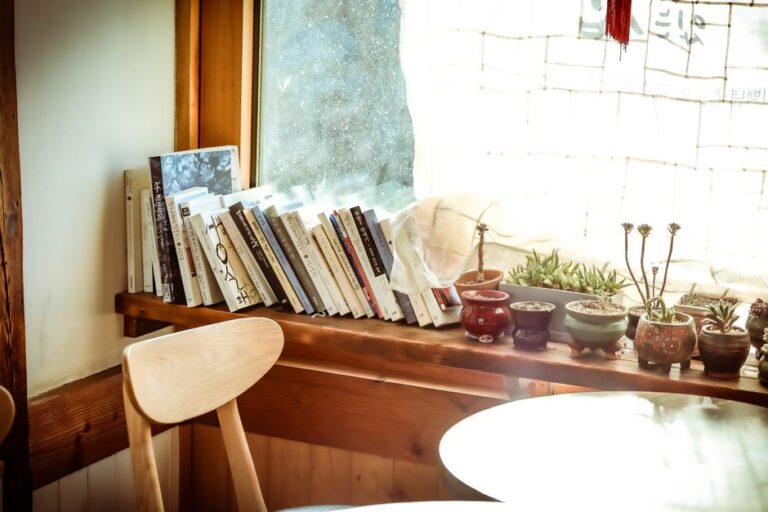 Sunlit window nook with books and succulents in a modern Korean café in Gyeongju, South Korea.