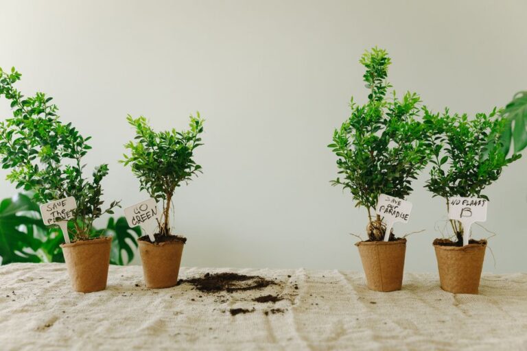 Four small potted plants with eco-friendly messages, encouraging nature conservation indoors.