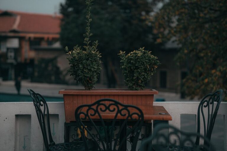 Elegant outdoor patio scene featuring ornate chairs and potted plants.