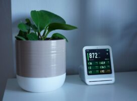 2026年春トレンド植物とは｜AIとテクノロジーで楽しむ植物管理を振り返る
