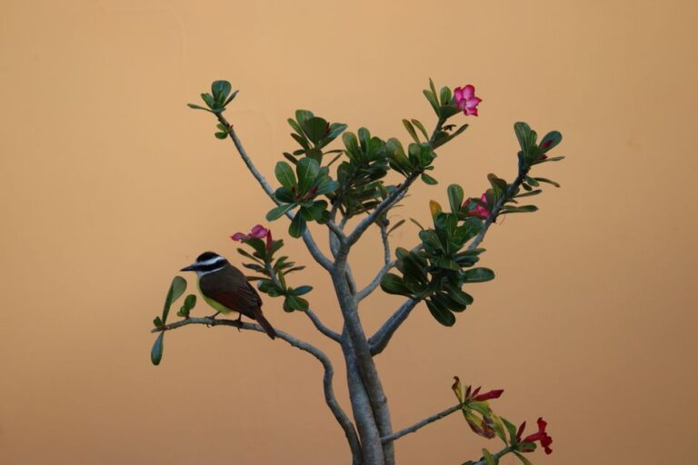 Bird perched on a flowering plant, set against a warm background, creating a serene and natural scene.