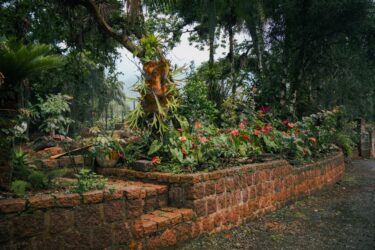 A picturesque tropical garden with diverse plants and vibrant flowers on a rainy day.