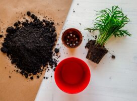 水はけの良い鉢の選び方とは？素焼き・陶器・プラスチックの違い