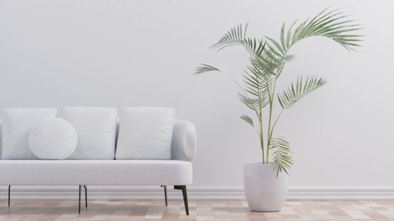 Modern minimalist living room with palm plant and white sofa enhancing comfort.