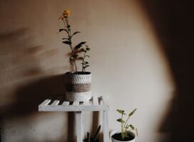 プラントスタンドの選び方｜高さと素材で魅せる植物のある暮らし