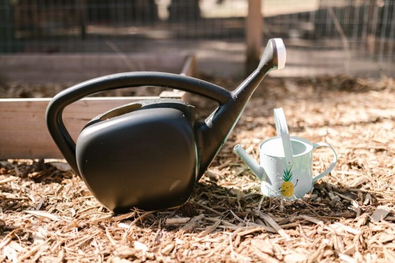 Close-up of a black watering can next to a cute metal can in a garden setting.