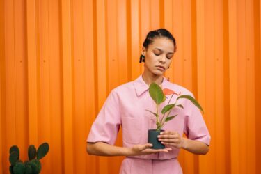 鉢と植物の相性の選び方｜葉の表情に呼応する鉢を見つける旅