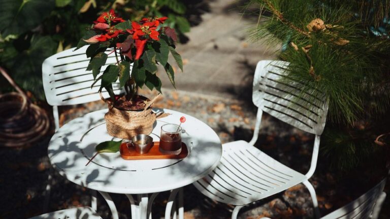 Charming outdoor setting with poinsettia and coffee on a white table.