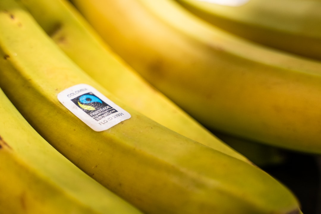 Bunch of ripe bananas with a fairtrade sticker.