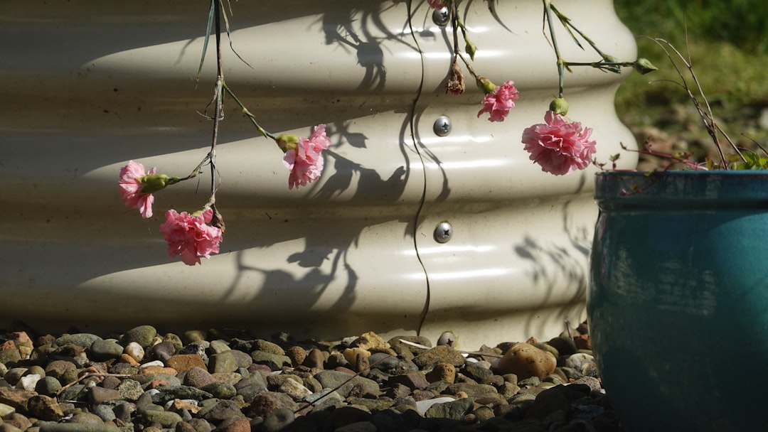 Delicate pink flowers hang from branches near a textured planter.