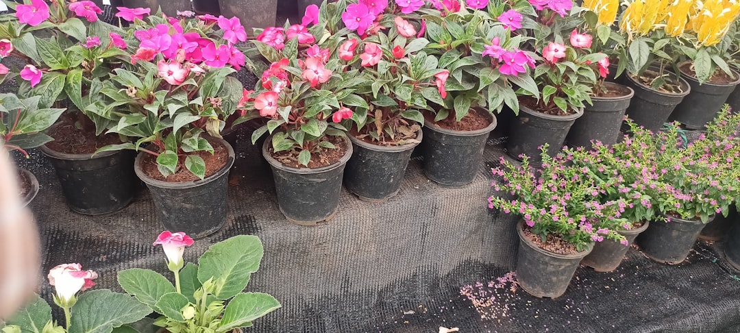 a bunch of flowers that are on a table