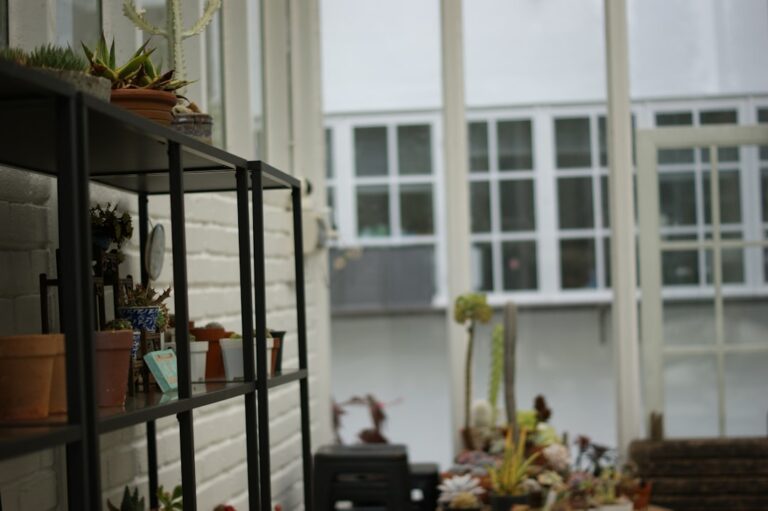 Shelves with potted plants near a window