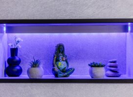 塊根植物のディスプレイ、寄せ植えと一鉢の主役で棚に景色をつくる