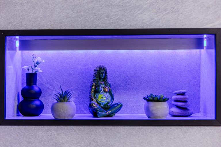Shelf with decorative items and purple lighting