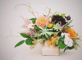 ユーフォルビアの寄せ植え、個性が響き合う小さな庭をつくる愉しみ