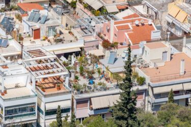都市部のヒートアイランドと塊根植物・観葉植物育成、都心と郊外の気候差