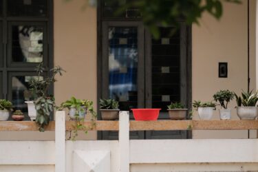 A peaceful balcony featuring a variety of potted plants and a red container, perfect for gardening enthusiasts.