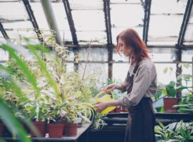 植物育成ライトの点灯時間｜冬の日照不足を補う時間・距離・タイマー運用