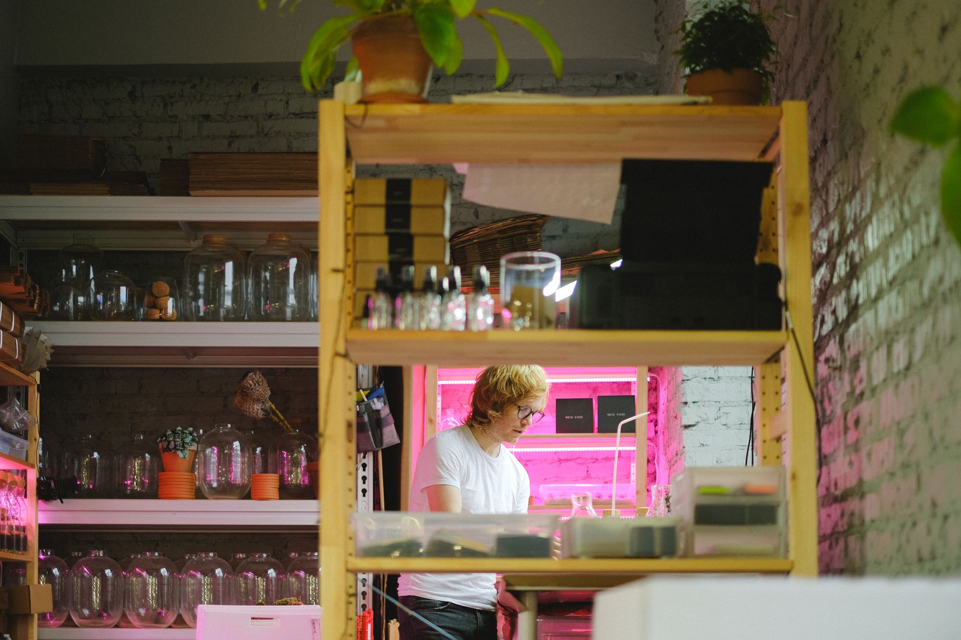 A man working in an indoor grow room with shelves, jars, and plants.