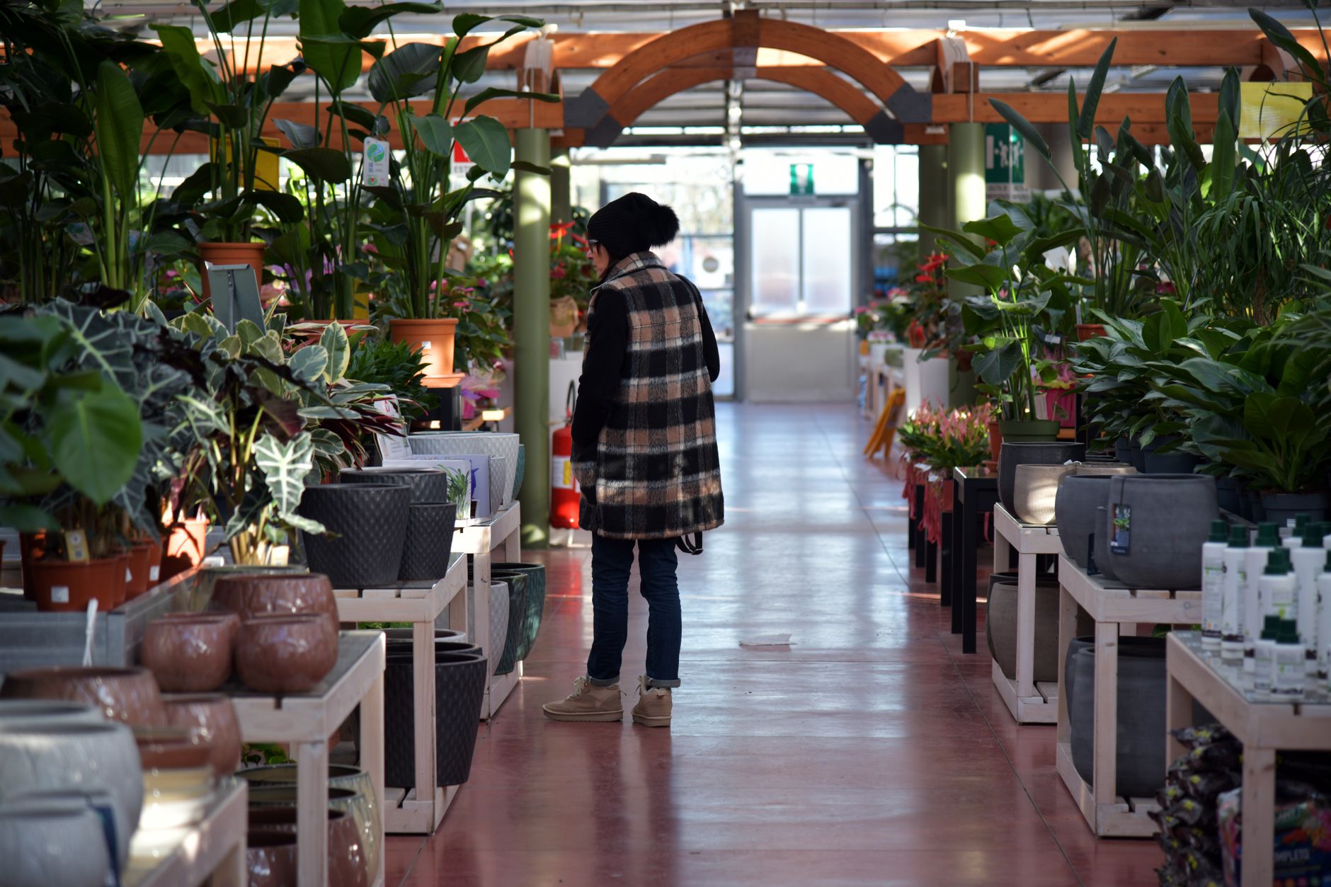 Woman browsing plants in a well-lit garden center filled with vibrant greenery.