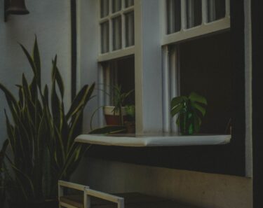 Moody indoor scene with potted plants and a window sill, exuding tranquility.