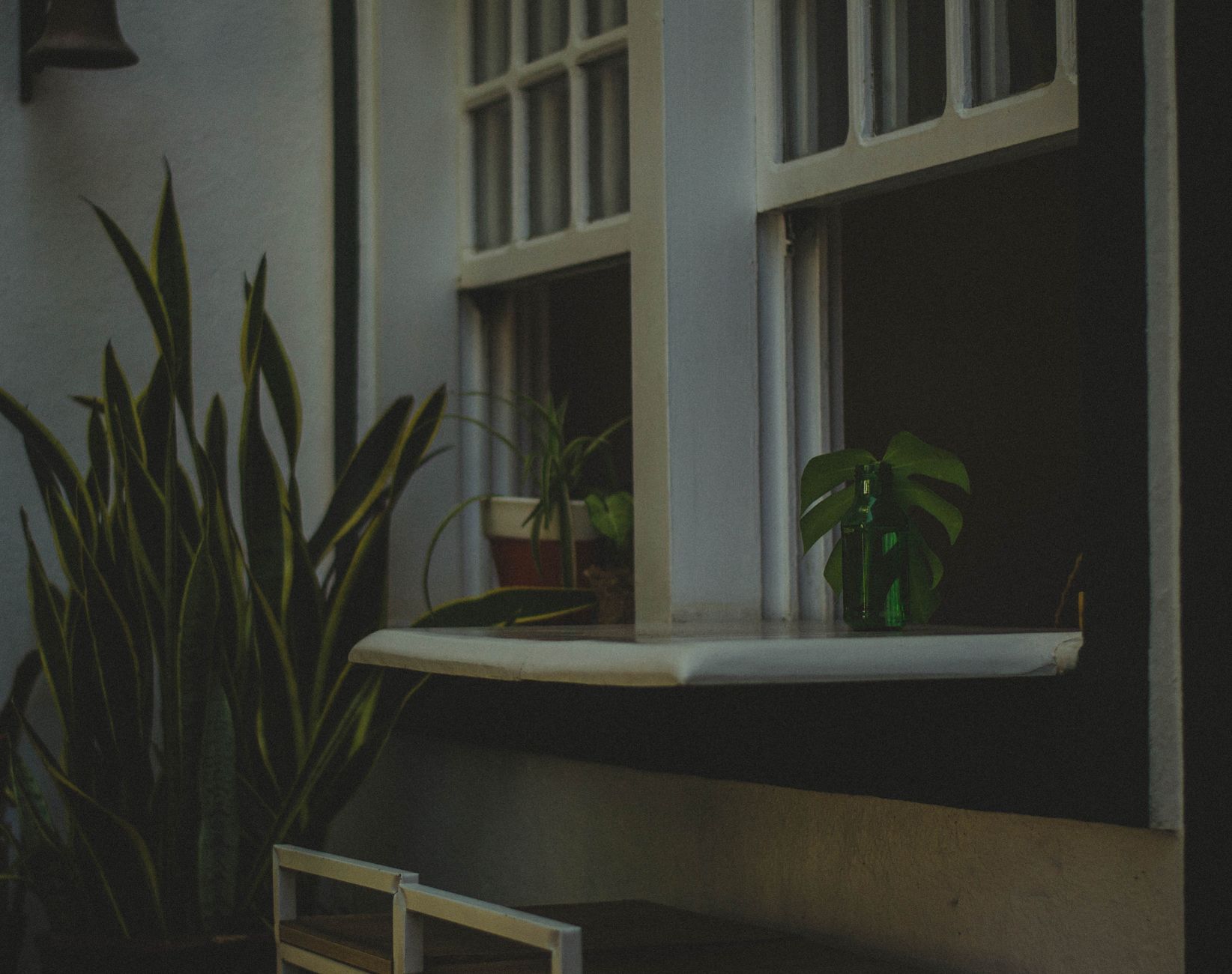 Moody indoor scene with potted plants and a window sill, exuding tranquility.