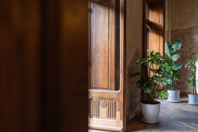Stylish indoor scene with potted monstera plants and elegant wooden door, perfect for interior design inspiration.