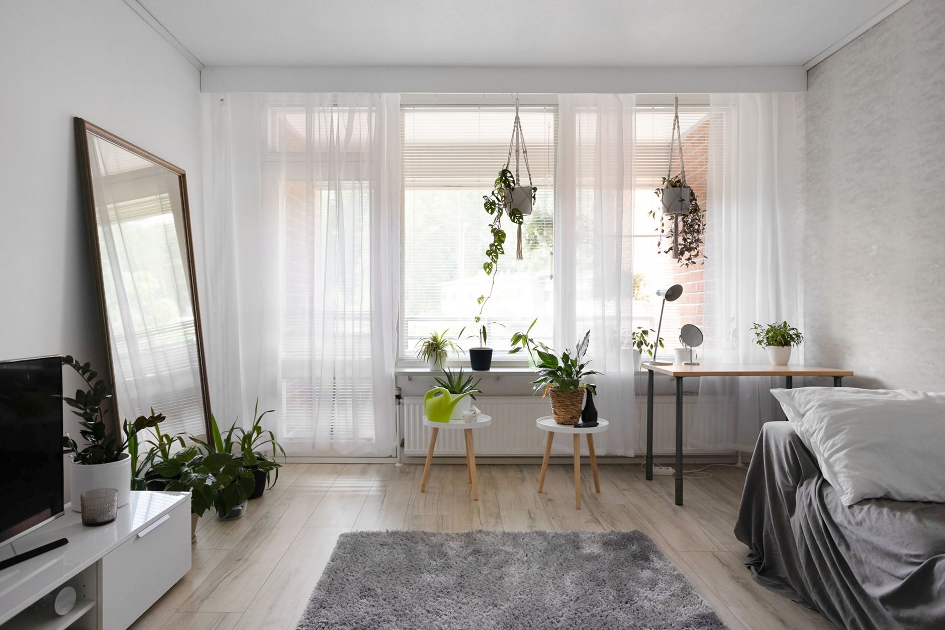 A bright, minimalist apartment interior featuring stylish decor and lush houseplants.