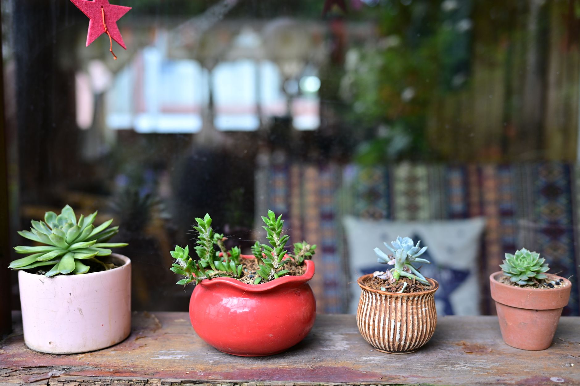 Succulent plants in various pots on a charming wooden sill, adding greenery to a rustic home decor.