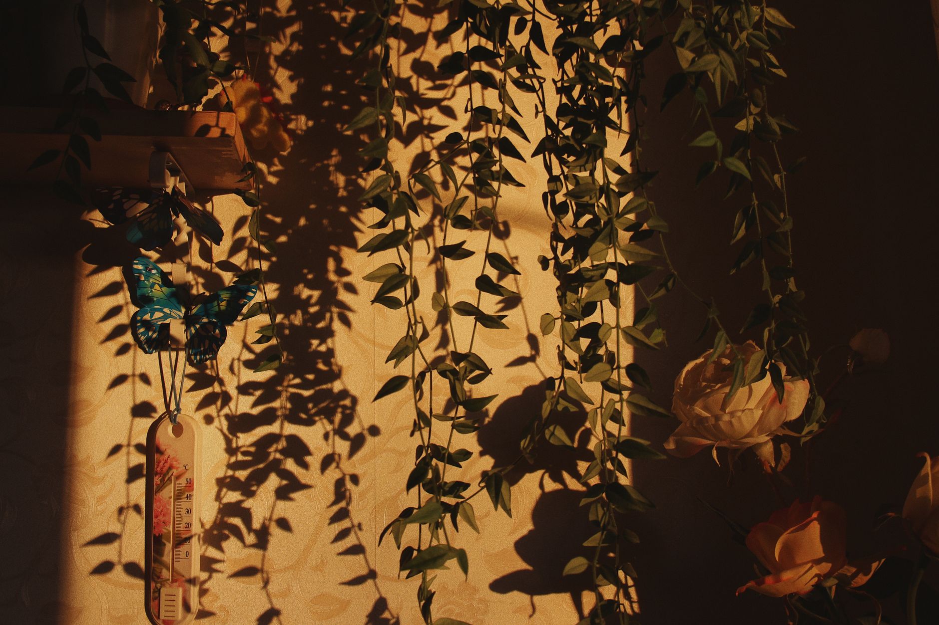 Sunlit room with hanging vines, butterfly decor, and rose shadows creating a serene atmosphere.