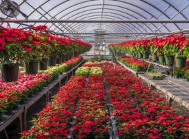 植物用ヒーターの選び方｜パネルヒーターの使い方と温度管理・安全の注意