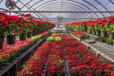 植物用ヒーターの選び方｜パネルヒーターの使い方と温度管理・安全の注意