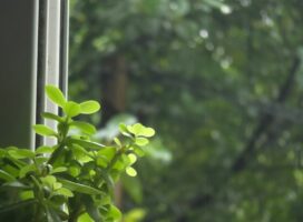 植物のIoT機器を家に入れる前のセキュリティ点検表｜5分野で確認