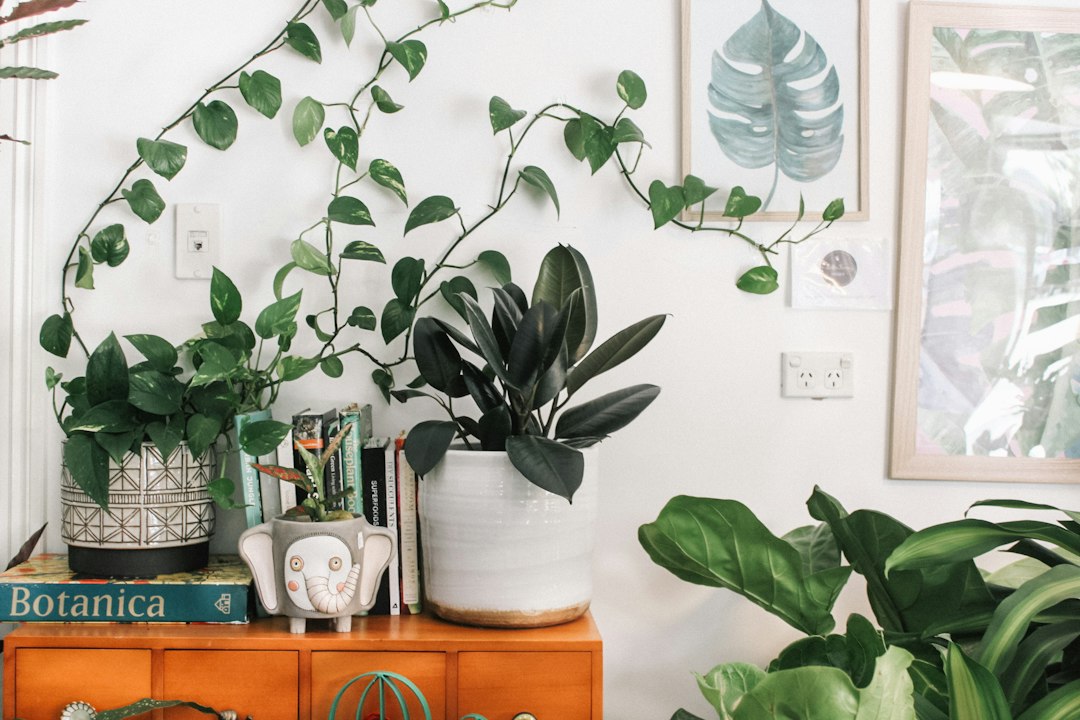 明るい室内に観葉植物が並ぶリビングの全景