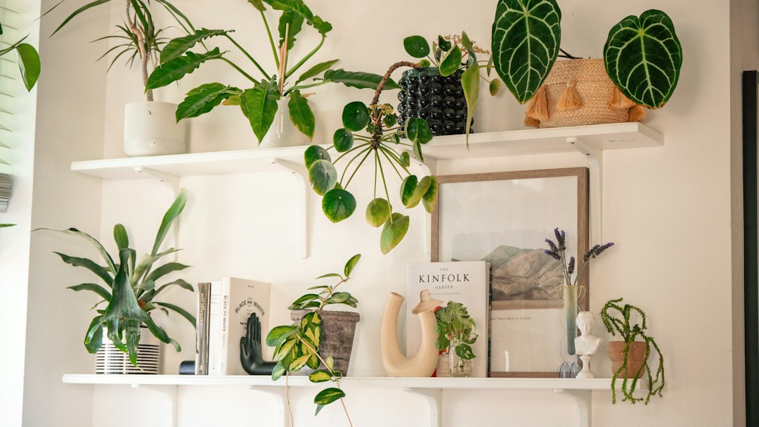 棚の観葉植物を照らすLED育成ライト
